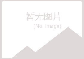 青岛匆匆邮政有限公司